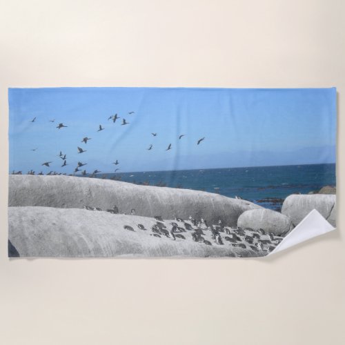 Boulders Beach Penguins  Birds Beach Towel