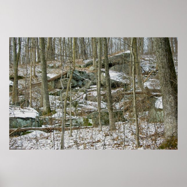 Boulders in Winter Woods Poster (Front)