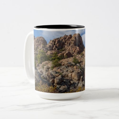 Boulders Landscape Prescott Arizona High Country Two_Tone Coffee Mug