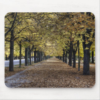Boulevard Of Leaves Mouse Pad