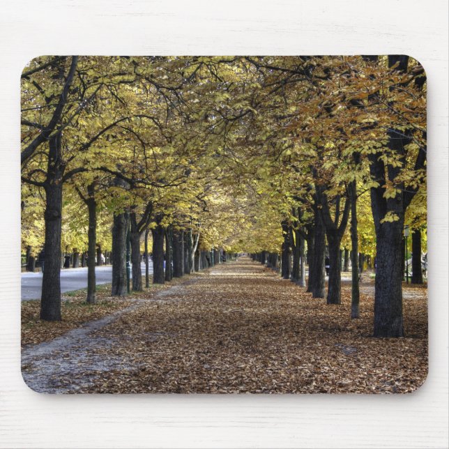 Boulevard Of Leaves Mouse Pad (Front)