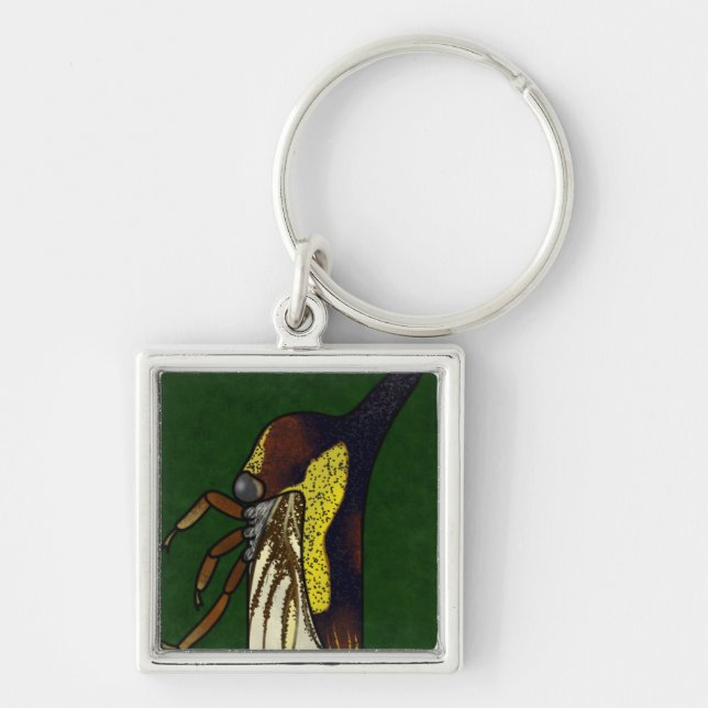 bouman651 Tree hoppers Thelia bimaculata (テングツノゼミ) Keychain (Front)