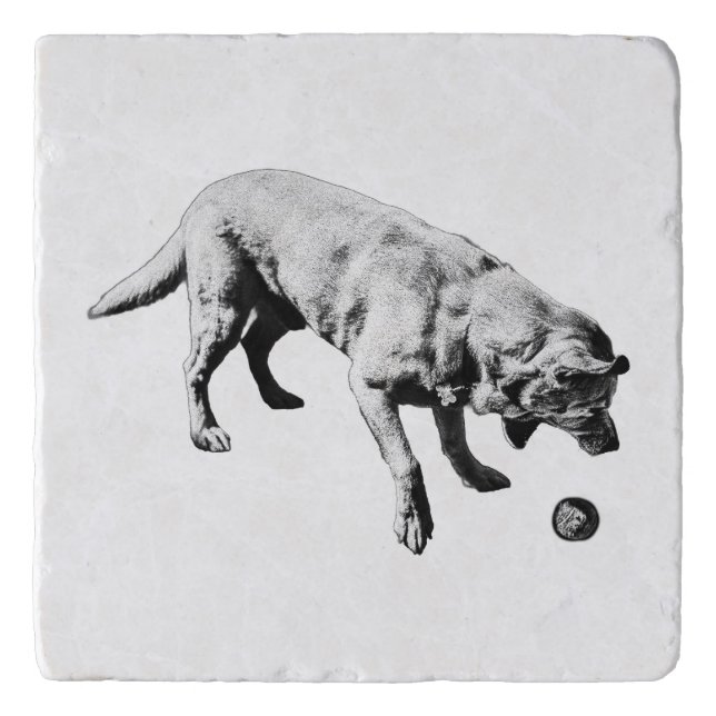 Bounce & Bite Trivet (Front)