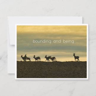 Bounding and Being Postcard