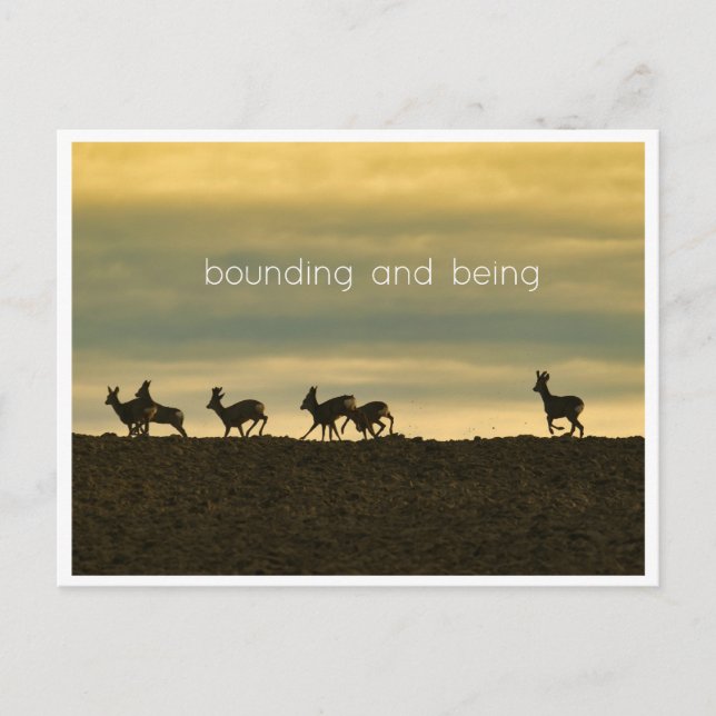Bounding and Being Postcard (Front)