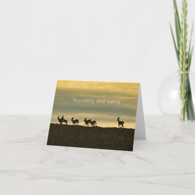 Bounding and Being Thank You Card (Front)