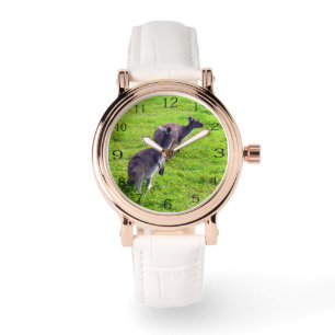 Boundless Horizons: Gray Kangaroos on Grassy Plain Watch