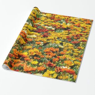 Bountiful Field of Gold and Rust Chrysanthemums Wrapping Paper