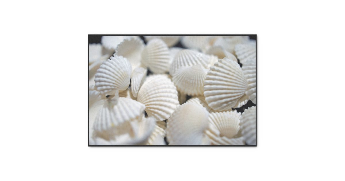 Bounty of Shells Tissue Paper | Zazzle