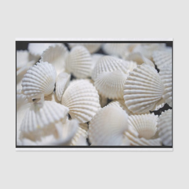 Bounty of Shells Tissue Paper (Front)