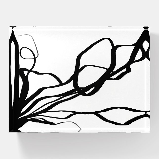 Bouquet Blanc: Abstract White & Black Paperweight (Front)