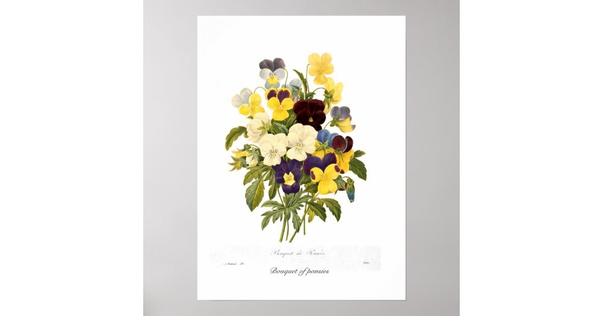 Bouquet Of Pansies Poster 