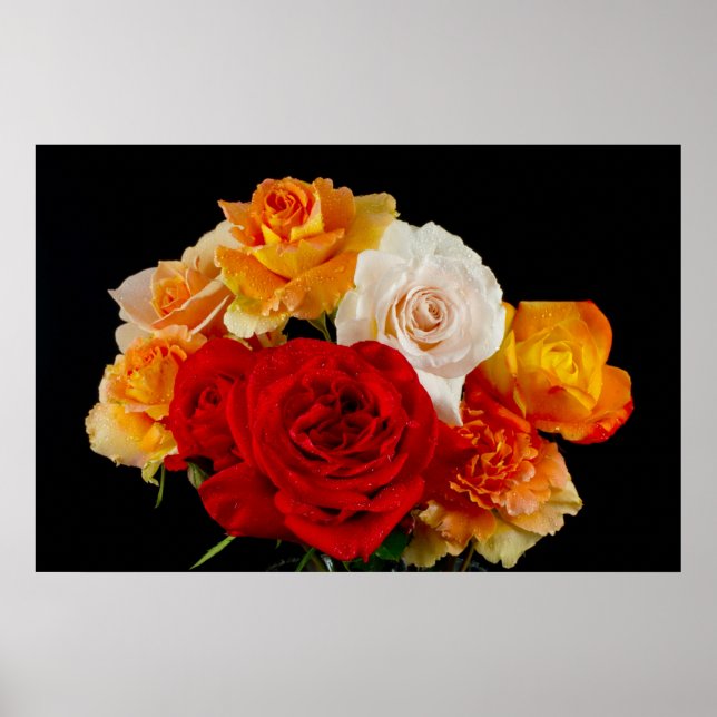 Bouquet of Roses on Black Poster (Front)