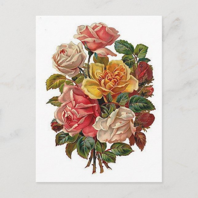 Bouquet of Roses Postcard (Front)