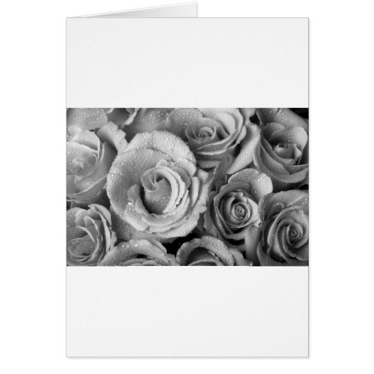 Bouquet of Roses with Water Drops in Black and Whi Card