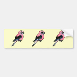 Bourke's Parakeet Bumper Sticker