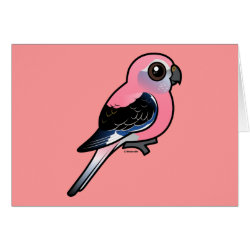 Bourke's Parakeet Greeting Card