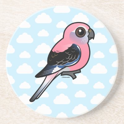 Bourke's Parakeet Drink Coaster