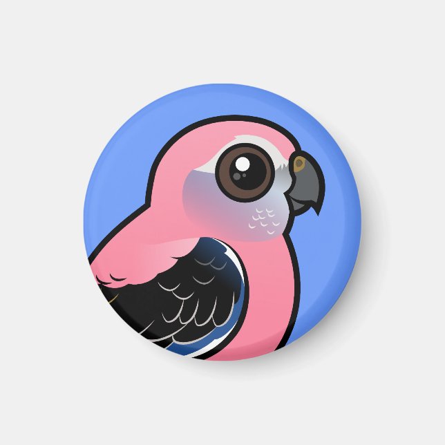 Bourke's Parakeet Magnet (Front)