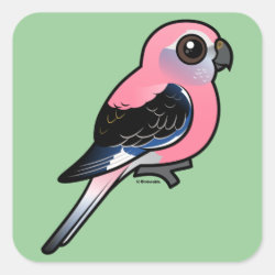 Bourke's Parakeet Square Sticker