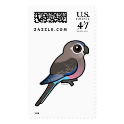 Bourke's Parrot Large Stamp 2.5