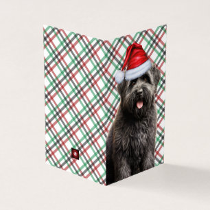 Bouvier Christmas Dog with Holiday Plaid