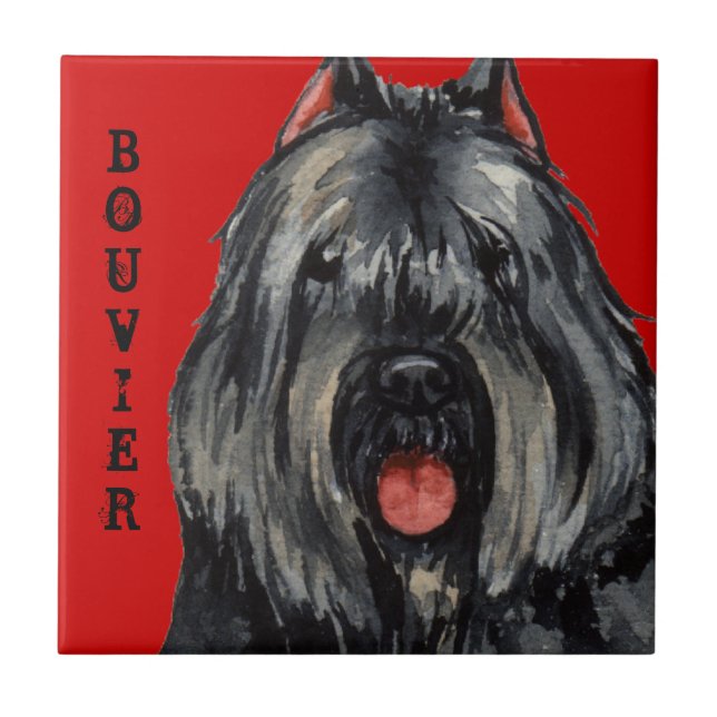 Bouvier Color Block Ceramic Tile (Front)