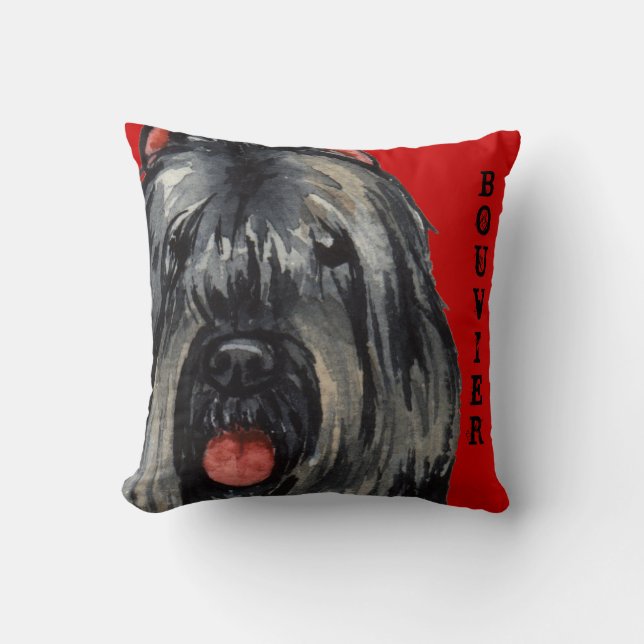 Bouvier Color Block Throw Pillow (Front)