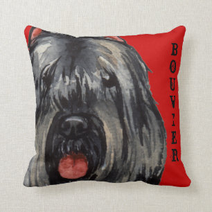 Bouvier Color Block Throw Pillow