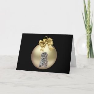 Bouvier des Flanders Holiday Card