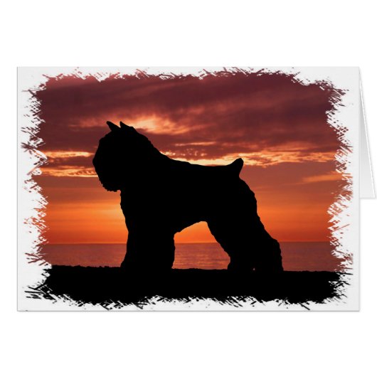 Bouvier des Flandres Cards (Front Horizontal)