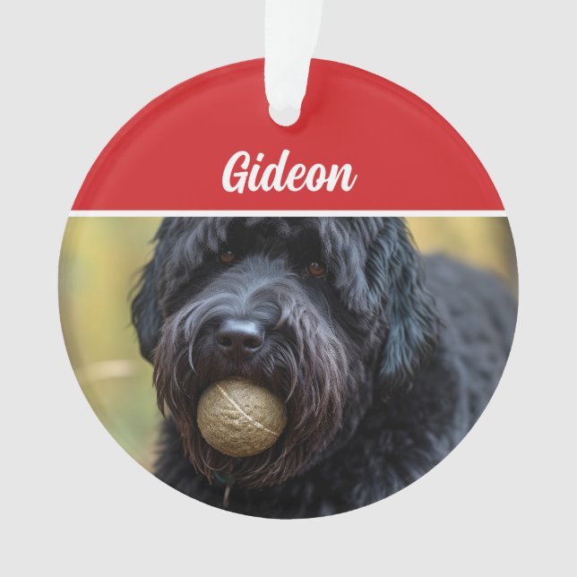 Bouvier des Flandres Dog Holiday Photo Christmas Ornament (Front)