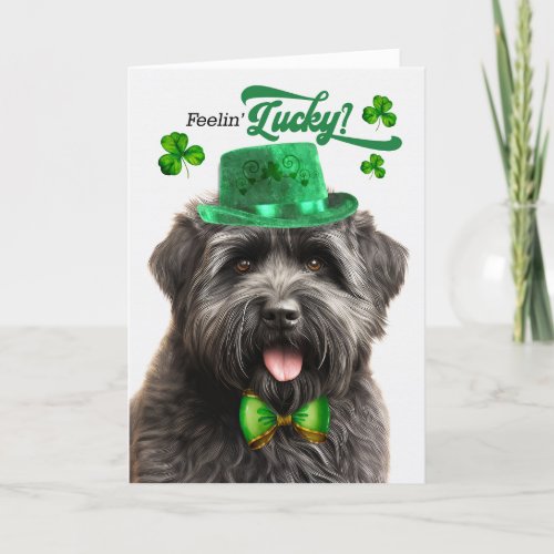 Bouvier des Flandres Dog Lucky St Patricks Day Holiday Card