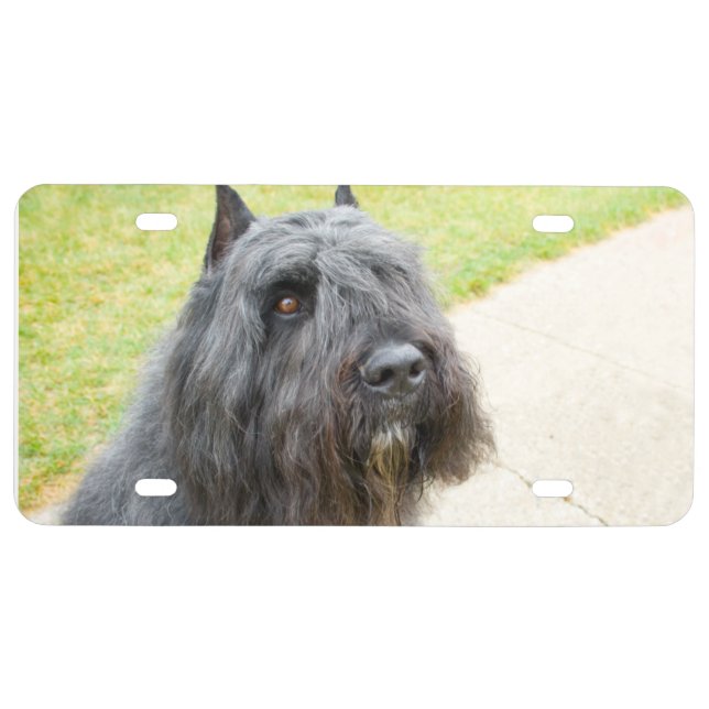Bouvier des Flandres License Plate (Front)