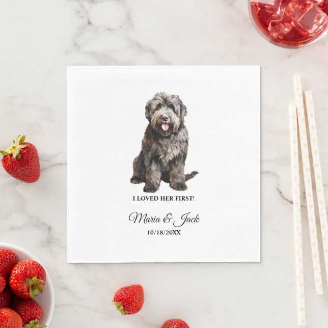 Bouvier des Flandres Napkins with Dogs Photo (Insitu)