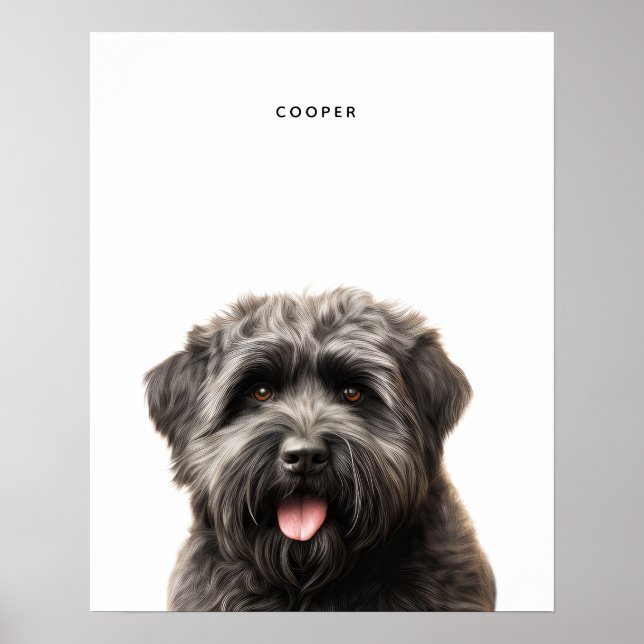 Bouvier Des Flandres Personalized Print (Front)