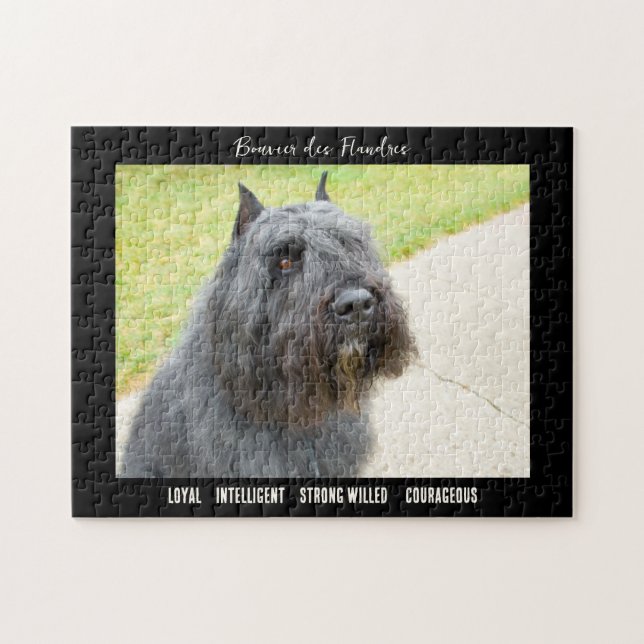Bouvier des Flandres Photo Dog Breed Jigsaw Puzzle (Horizontal)