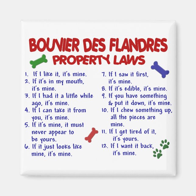 BOUVIER DES FLANDRES Property Laws 2 Magnet (Front)