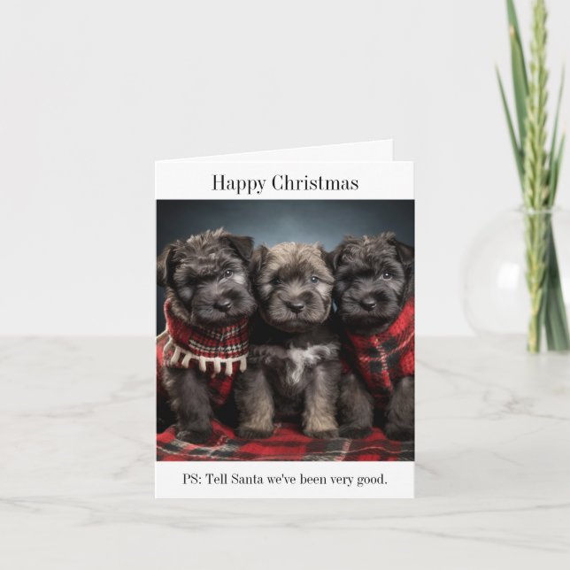 Bouvier des Flandres Puppies Christmas Card (Front)