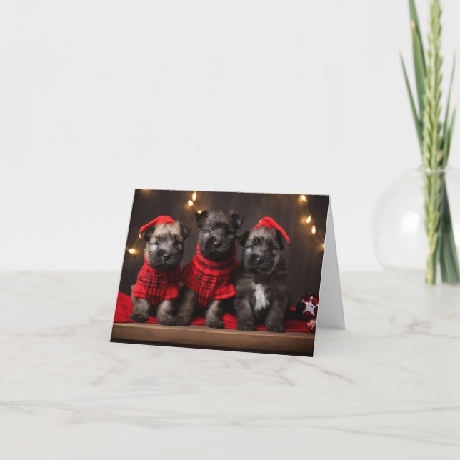 Bouvier des Flandres Puppies Christmas Card (Front)