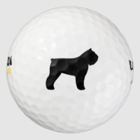 Bouvier des Flandres Silhouette