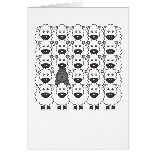 Bouvier in the Sheep Cards (Front)