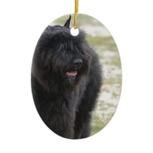 Bouviers des Flanders Ceramic Ornament