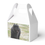 Bouviers des Flanders Favor Boxes