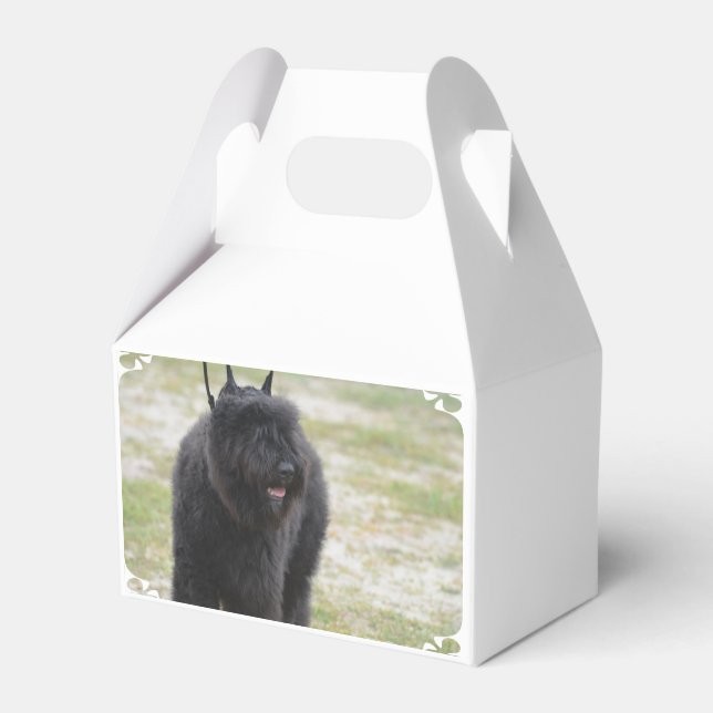 Bouviers des Flanders Favor Boxes (Front Side)