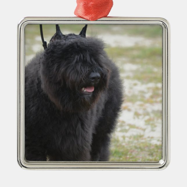 Bouviers des Flanders Metal Ornament (Front)