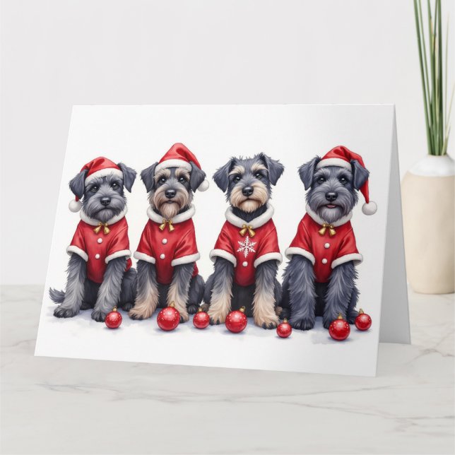 Bouviers des Flandres Christmas Dress Santa Hat Card (Front)