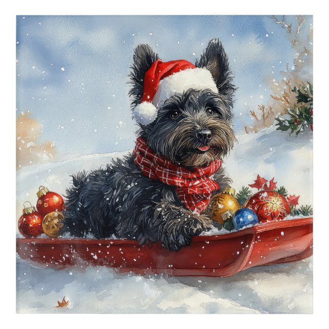 Bouviers Des Flandres Dog in Sledge Christmas Acrylic Print (Front)