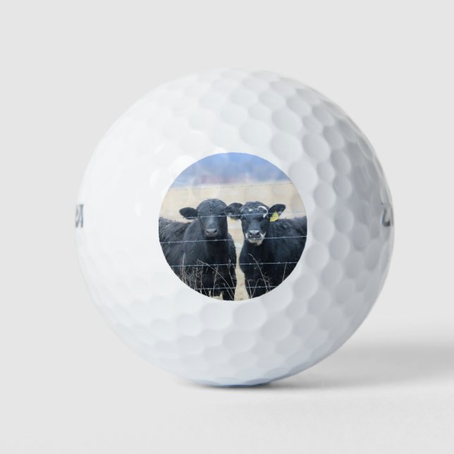 Bovine bystanders golf balls (Front)