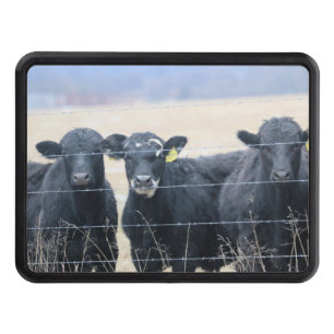Bovine bystanders hitch cover